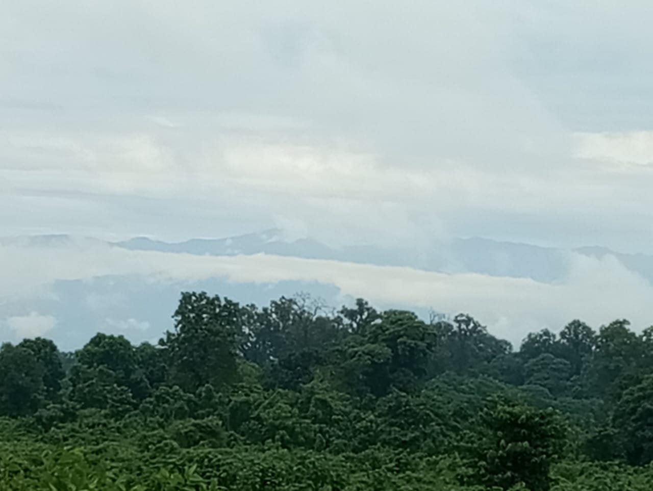 Dooars Adventure Package